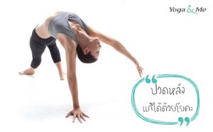 โยคะบรรเทาอาการปวดหลัง - Yoga And Me โยคะบรรเทาอาการปวดหลัง - Yoga And Me